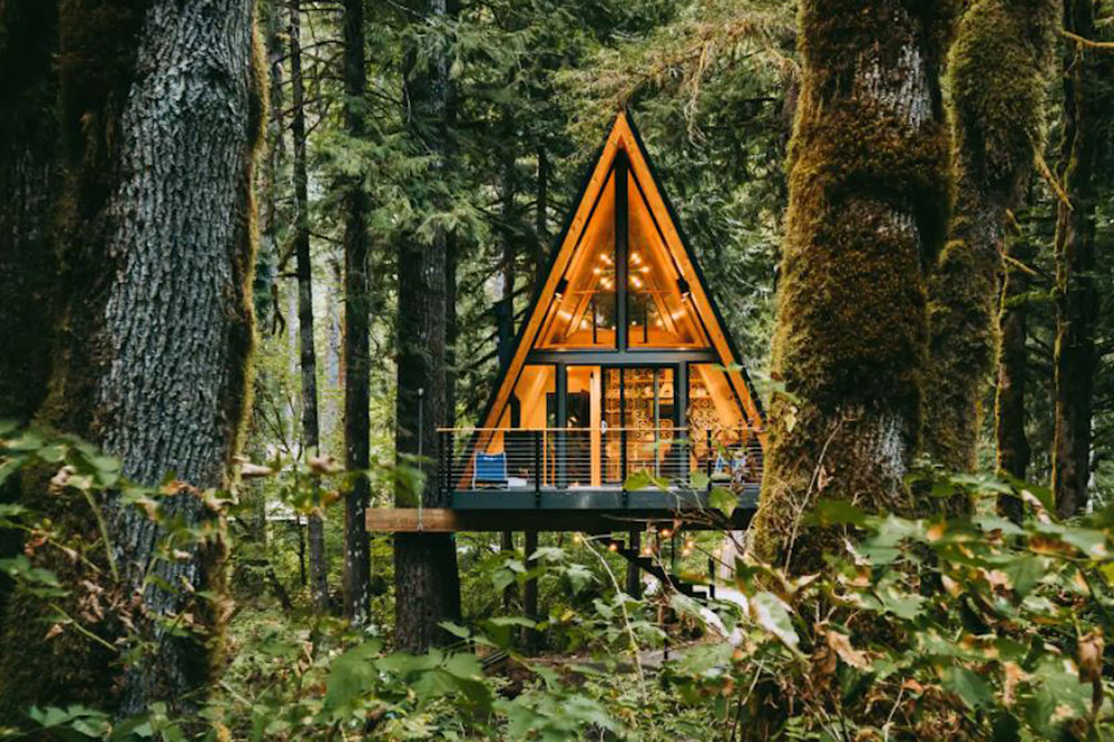 Tree House Rentals